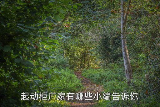 配電自動(dòng)化設(shè)備企業(yè),常見(jiàn)的配電自動(dòng)化設(shè)備有哪些