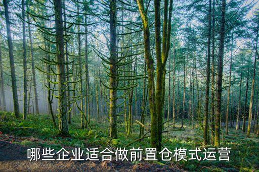 迭代前置倉,阿里前置倉模式下的運營