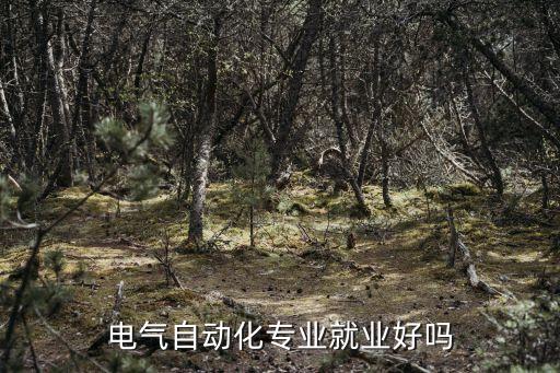 自動化設(shè)備公司項(xiàng)目提成,我國自動化設(shè)備銷售提成怎樣提的?