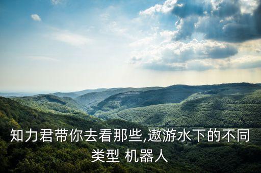 知力君帶你去看那些,遨游水下的不同類型 機(jī)器人