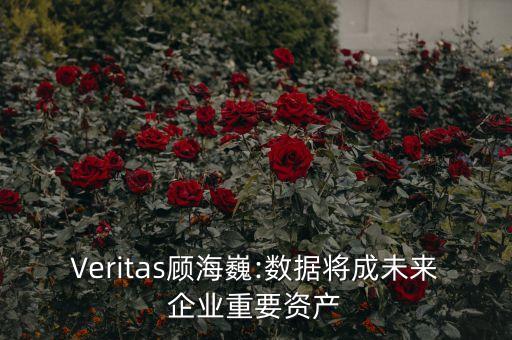 Veritas顧海巍:數(shù)據(jù)將成未來企業(yè)重要資產