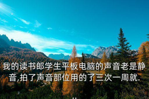 我的讀書郎學(xué)生平板電腦的聲音老是靜音,拍了聲音部位用的了三次一周就...