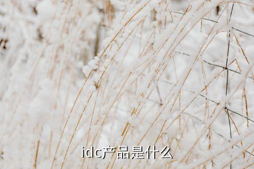大數(shù)據(jù)中心機房服務(wù)器,數(shù)據(jù)中心機房服務(wù)器為什么不用接地線
