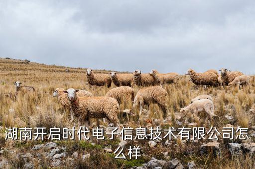湘潭自動化設(shè)備哪里有賣的,做自動化設(shè)備哪里企業(yè)最多
