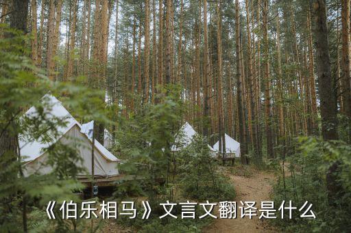 山東千里馬鍛壓自動化設備,千里馬酒店管理軟件怎么樣?