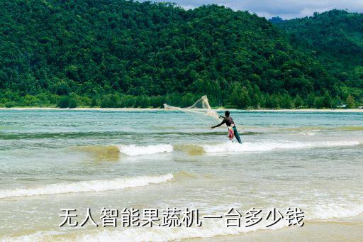 無人智能果蔬機(jī)一臺多少錢