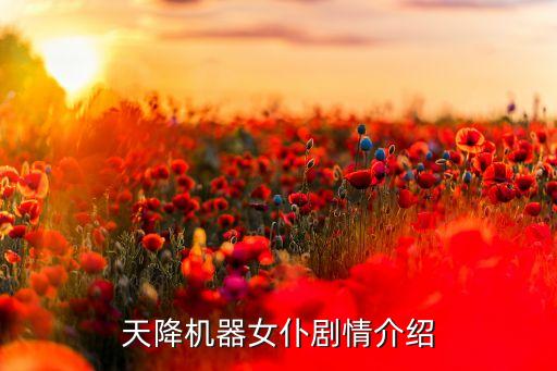 天降機(jī)器女仆劇情介紹