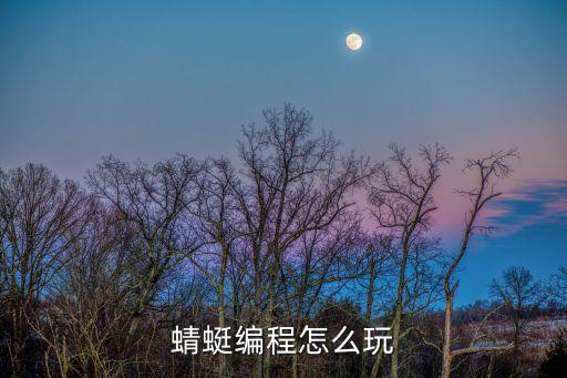蜻蜓編程怎么玩