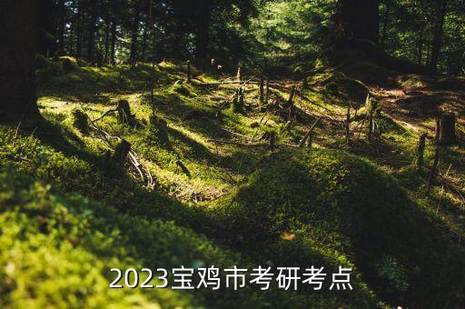 寶雞學(xué)院電氣自動(dòng)化考研,電氣自動(dòng)化專業(yè)考研院校有哪些?