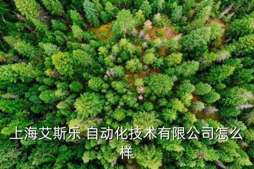 上海艾斯樂 自動化技術(shù)有限公司怎么樣