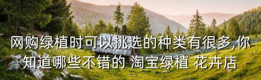 網(wǎng)購(gòu)綠植時(shí)可以挑選的種類(lèi)有很多,你知道哪些不錯(cuò)的 淘寶綠植 花卉店