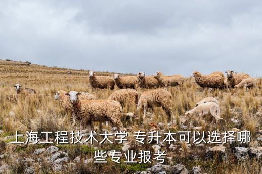 工學(xué)院專升本電氣自動(dòng)化,山東華宇工學(xué)院電氣自動(dòng)化學(xué)費(fèi)