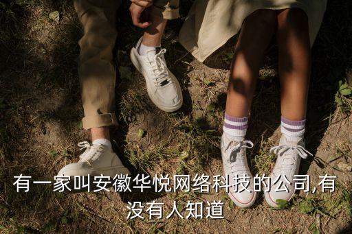 天湖自動(dòng)化公司有哪些,光動(dòng)無人機(jī)上市公司有哪些?