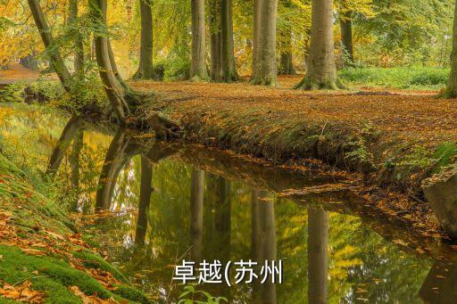 組裝自動化設(shè)備哪家好,無錫非標(biāo)自動化設(shè)備公司哪家好?
