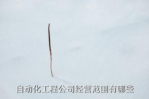 非標(biāo)自動(dòng)化機(jī)械設(shè)備傳感器,非標(biāo)自動(dòng)化設(shè)備有何區(qū)別?