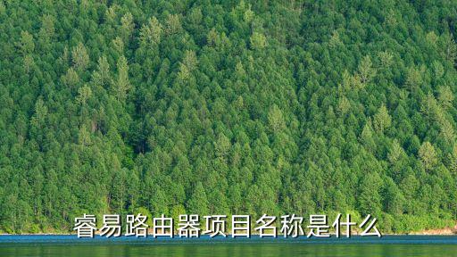 睿易路由器項(xiàng)目名稱是什么