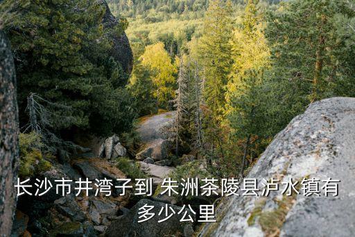 長沙市井灣子到 朱洲茶陵縣瀘水鎮(zhèn)有多少公里