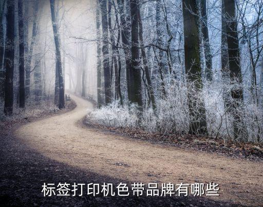 標(biāo)簽打印機(jī)色帶品牌有哪些