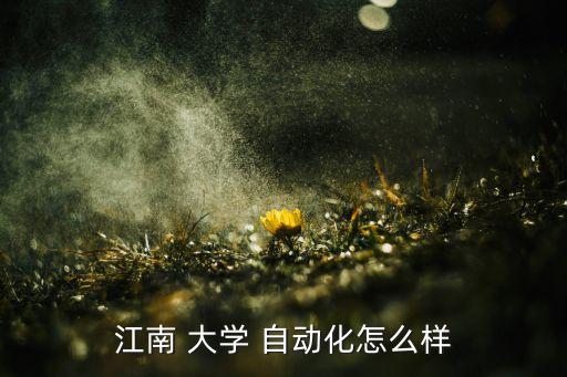 江南 大學(xué) 自動化怎么樣