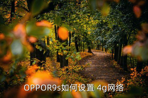 oppor9s移動(dòng)數(shù)據(jù)4g切換