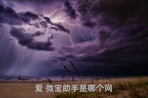 愛 微寶助手是哪個網(wǎng)