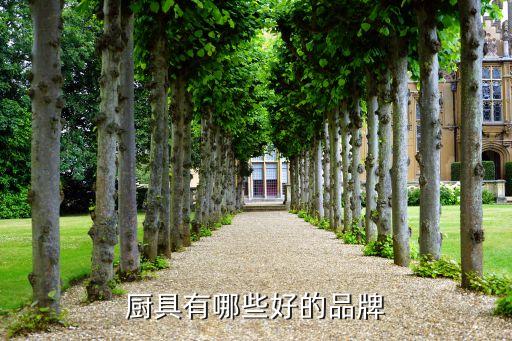 天津自動化廚房設(shè)備,廚房設(shè)備挑選須知道的五件事?