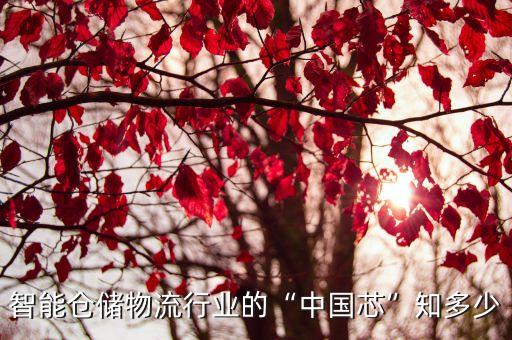 智能倉儲物流行業(yè)的“中國芯”知多少