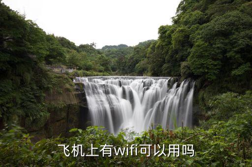 飛機(jī)上有wifi可以用嗎