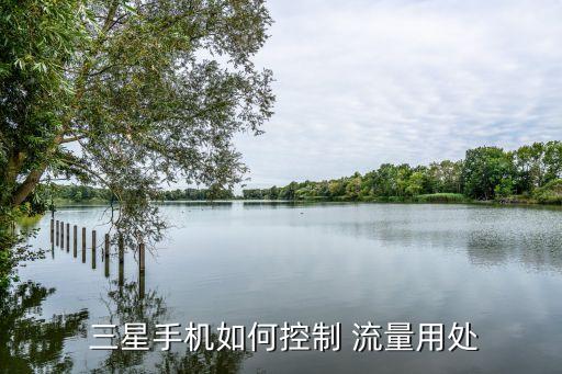 三星怎么限制數(shù)據(jù)流量的軟件,三星手機(jī)流量數(shù)據(jù)限制