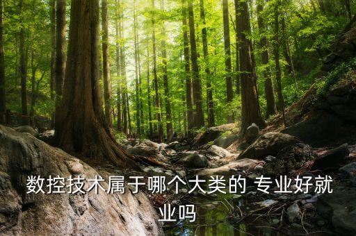 自動化數控專業(yè),數控自動化專業(yè)大學排名