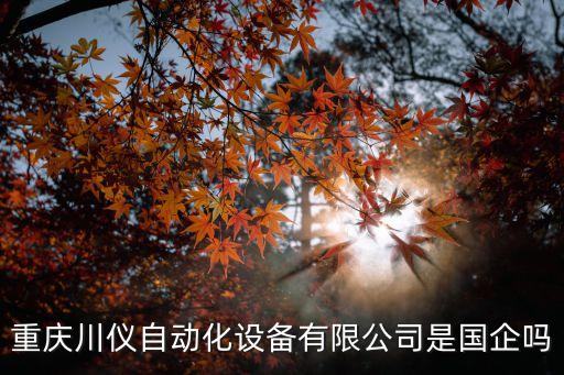 鋼絲刷子自動化機械設備,非標自動化設備有哪些?