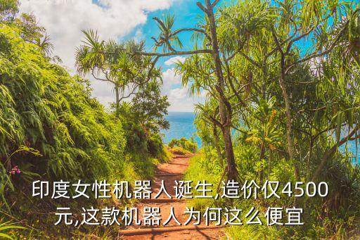 印度女性機(jī)器人誕生,造價(jià)僅4500元,這款機(jī)器人為何這么便宜