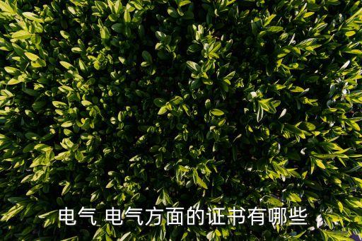 電氣自動(dòng)化有職稱嗎