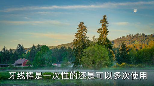 高效的牙線棒自動(dòng)化設(shè)備