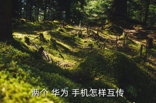 華為手機如何轉移數據,蘋果手機換華為手機如何轉移數據