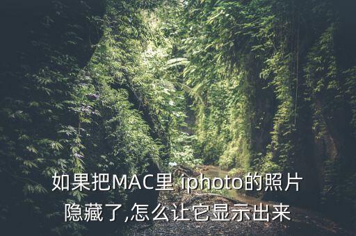iphoto