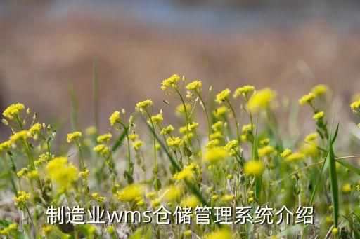 自動(dòng)化存儲(chǔ)倉(cāng)設(shè)備廠家,自動(dòng)化立體倉(cāng)庫(kù)有何優(yōu)勢(shì)?