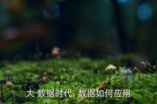 大 數(shù)據(jù)時代, 數(shù)據(jù)如何應(yīng)用
