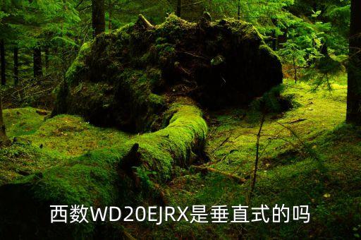 西部數(shù)據(jù)npvz ezrz