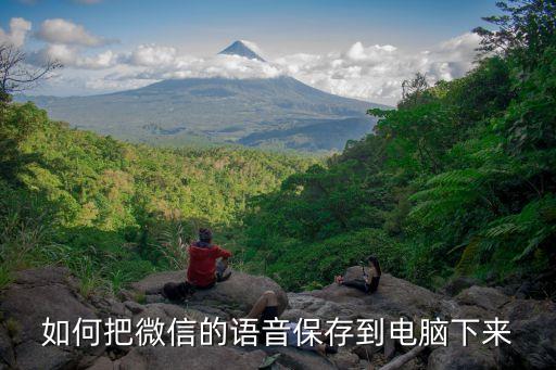 安卓微信數(shù)據(jù)語(yǔ)音導(dǎo)出,微信中語(yǔ)音怎么導(dǎo)出?