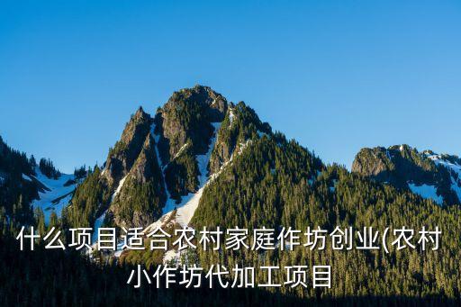 自己動(dòng)手做小自動(dòng)化設(shè)備