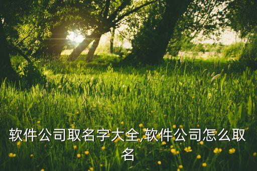 起自動化公司名稱,如何注冊自動化設(shè)備公司?
