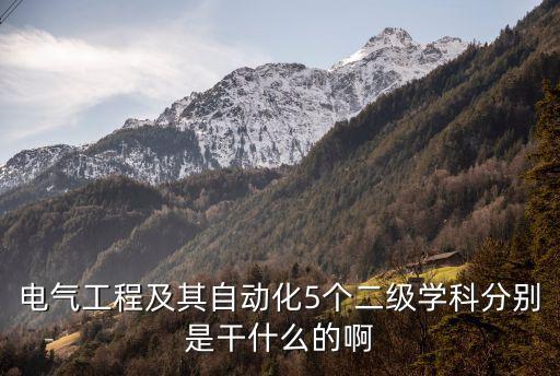 二級(jí)電氣自動(dòng)化哪個(gè)專業(yè)好,電氣工程及其自動(dòng)化有哪些專業(yè)?