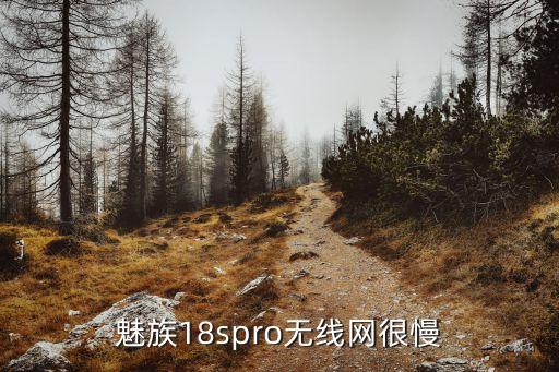 魅族18spro無(wú)線網(wǎng)很慢