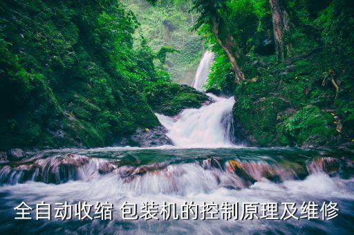 包裝設(shè)備全自動(dòng)化,食品自動(dòng)化稱重包裝設(shè)備