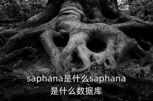 saphana是什么saphana是什么數(shù)據(jù)庫
