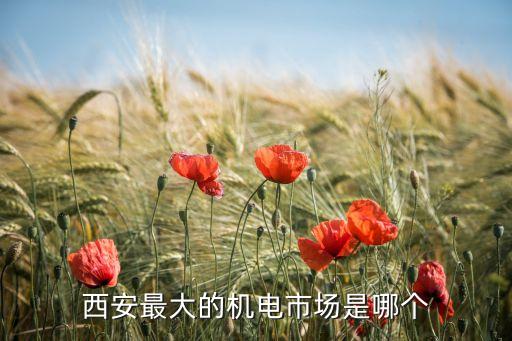 寧河區(qū)自動(dòng)化機(jī)電設(shè)備價(jià)格,非標(biāo)自動(dòng)化設(shè)備包括自動(dòng)測試等