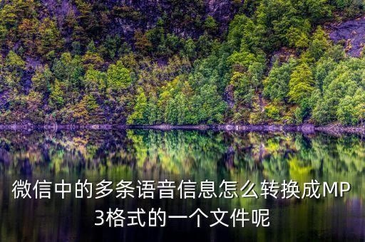 微信中的多條語音信息怎么轉(zhuǎn)換成MP3格式的一個文件呢