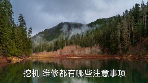  挖機(jī) 維修都有哪些注意事項(xiàng)