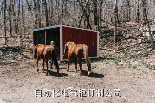 鹽城自動(dòng)化電氣柜訂制公司